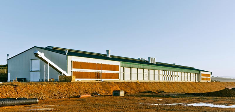 Wind & Earthquake Resistant Steel Structure Chicken House
