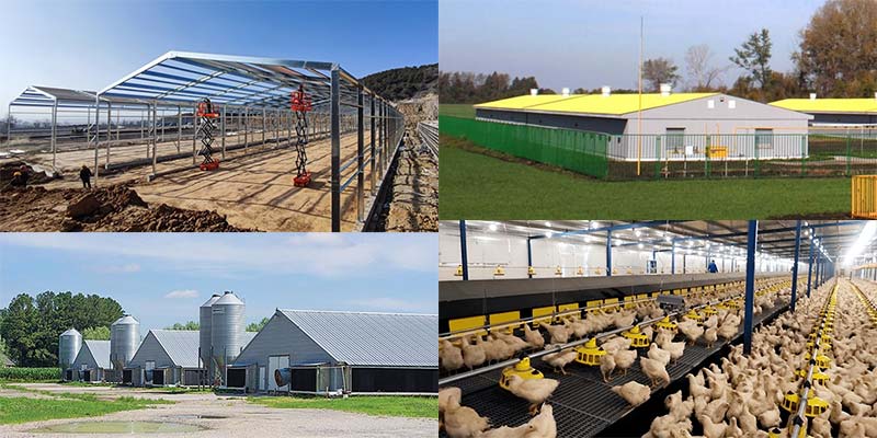Wind & Earthquake Resistant Steel Structure Chicken House