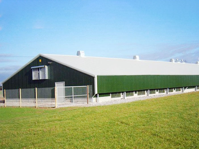 Wind & Earthquake Resistant Steel Structure Chicken House