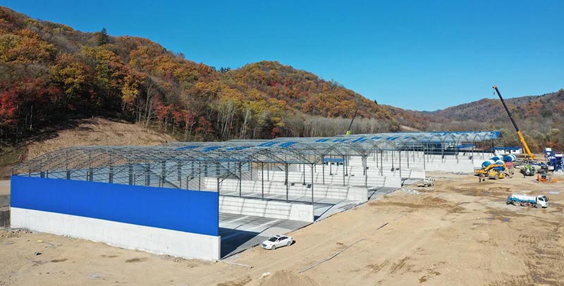 Fast Installing Steel Structure Pig Shed