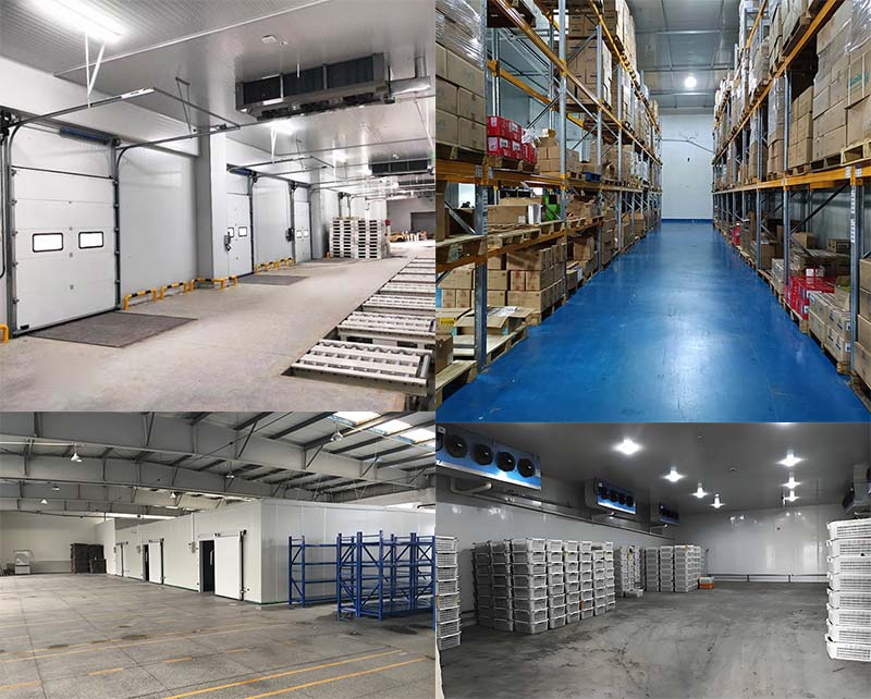 Refrigeration Room Solution for All Kinds of Foods
