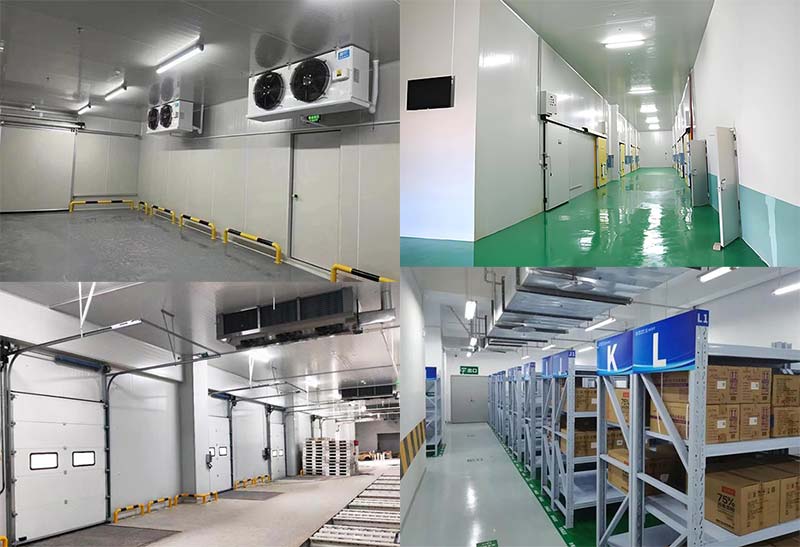Hospital Medicine Storage Cold Warehouse