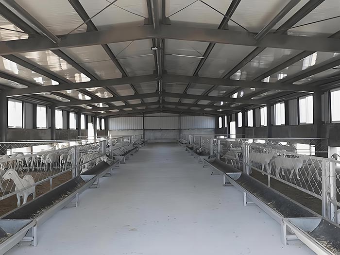 Steel Structure Sheep Shed Lamb House