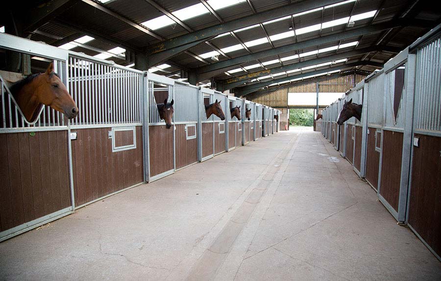 Steel Structure Stable