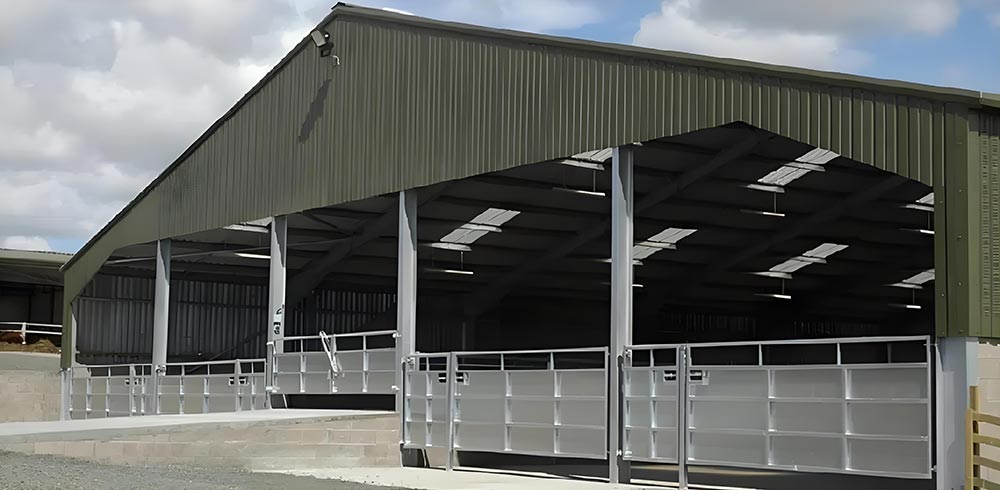 Galvanized Steel Structure Livestock Building
