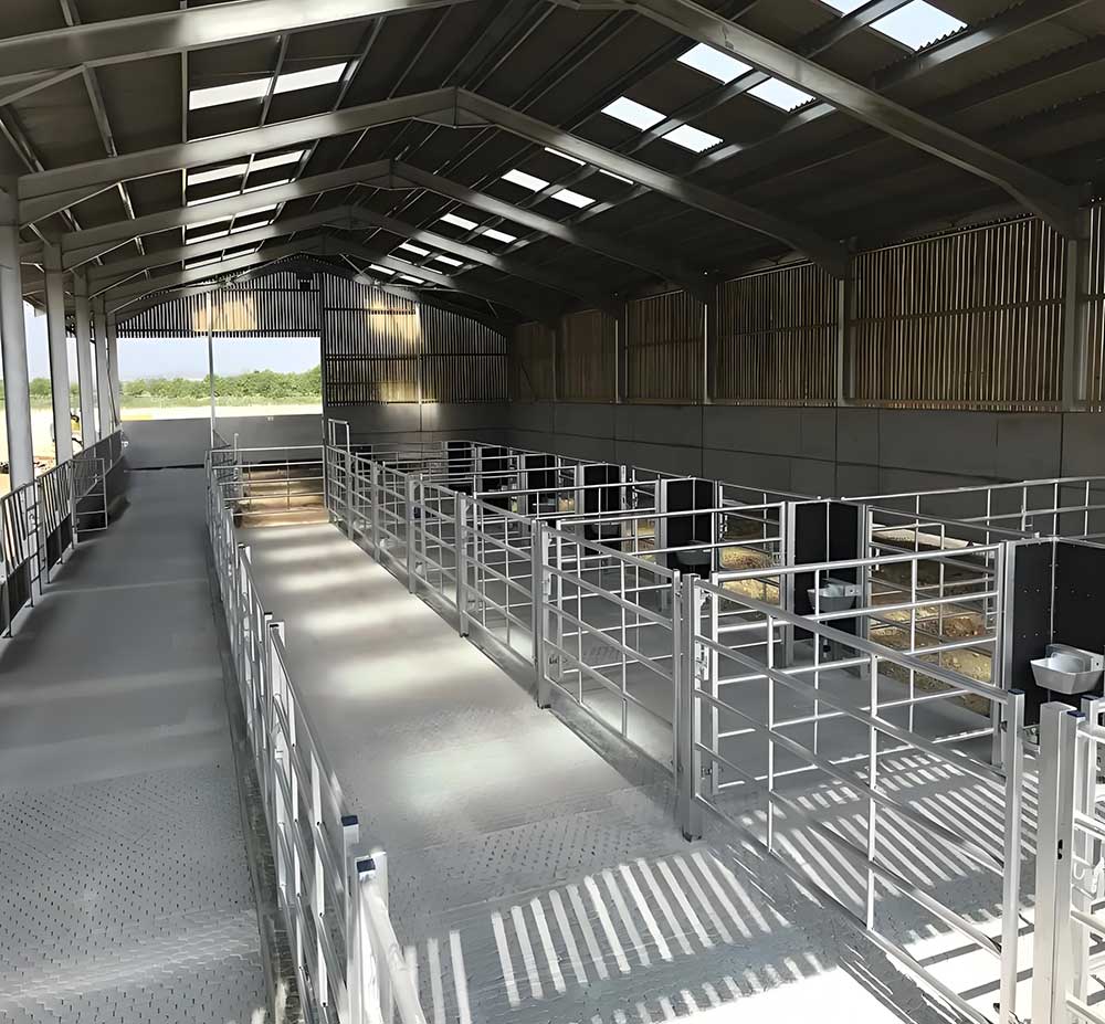 Galvanized Steel Structure Livestock Building