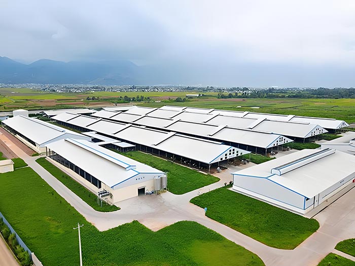 Galvanized Steel Structure Livestock Building